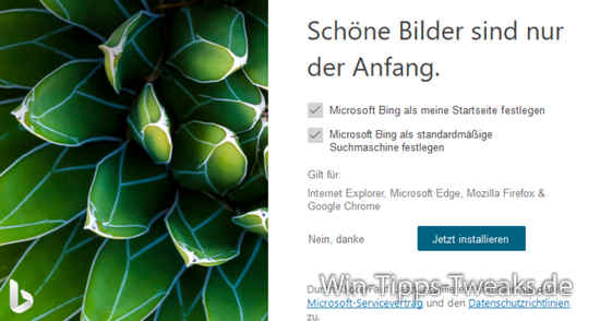 Télécharger Bing Wallpaper.exe