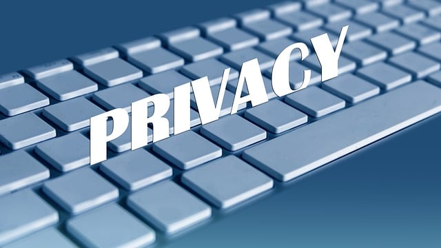 windows 11 privacy