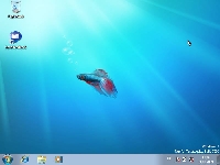 Windows Desktop Windows Desktop
