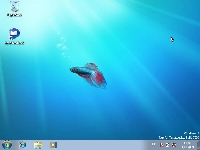 Windows Desktop